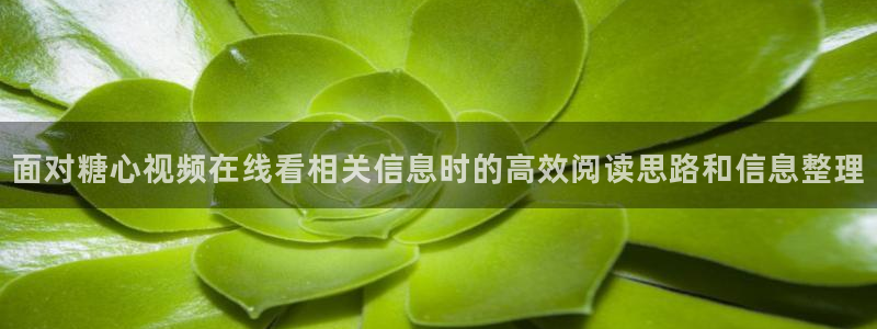 糖心：面对糖心视频在线看相关信息时的高效阅读思路和信息整理