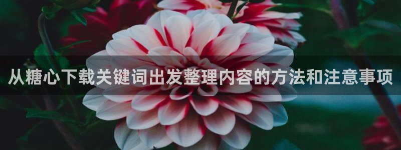 糖心在线观看视频:从糖心下载关键词出发整理内容的方法和注意事项