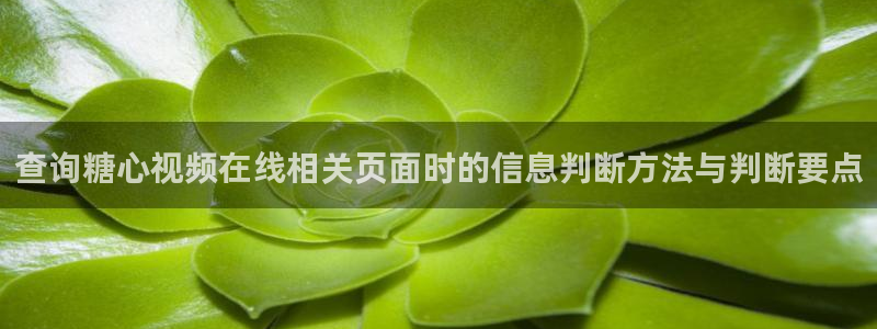 糖心vlog免费观看在线：查询糖心视频在线相关页面时的信息判断方法与判断要点
