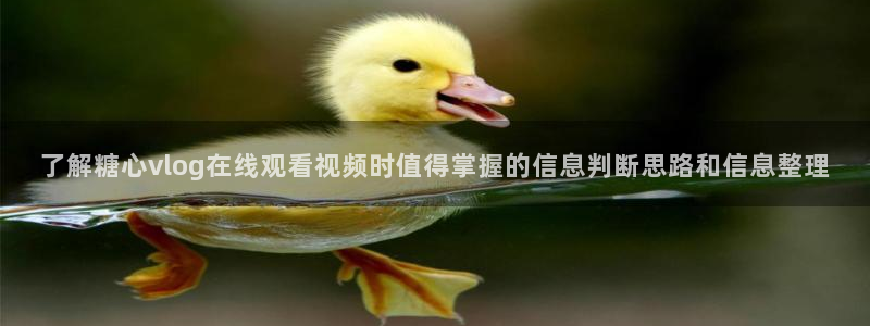 糖心vlog 免费：了解糖心vlog在线观看视频时值得掌握的信息判断思路和信息整理
