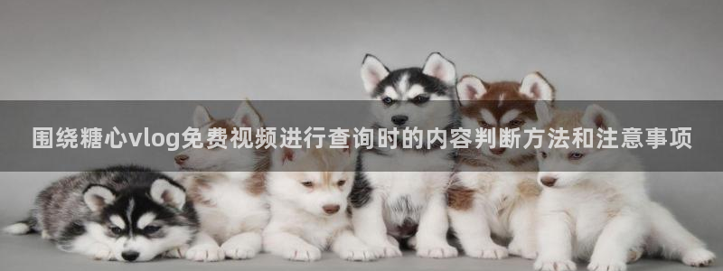 糖心vlog免费