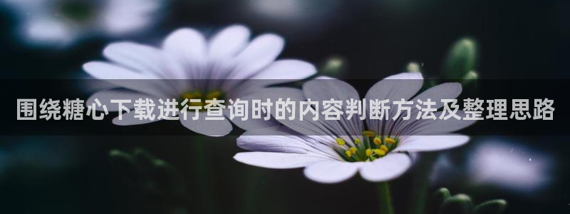 糖心logo唐伯虎沈娜娜