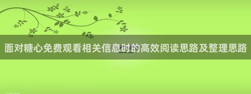 糖心vlog91
