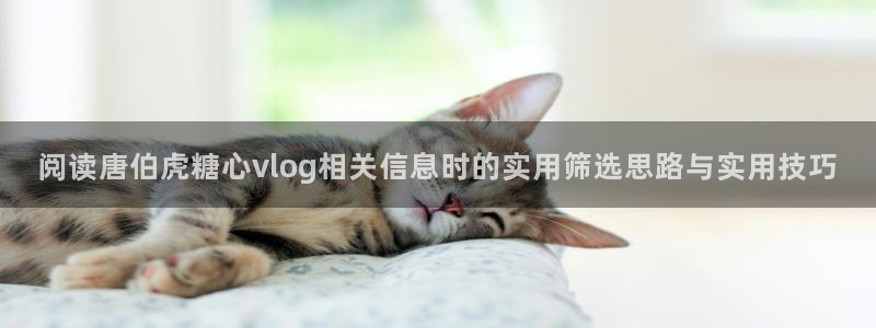 糖心官网入口:阅读唐伯虎糖心vlog相关信息时的实用筛选思路与实用技巧